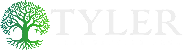 Tyler Tree Service Pros